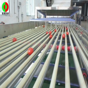 FJ-3000 fruit sorteerder