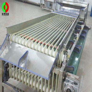 FJ-3000 fruit sorteerder