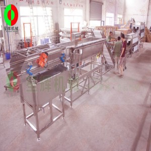 Grote productielijn voor het schillen en snijden van groenten en fruit