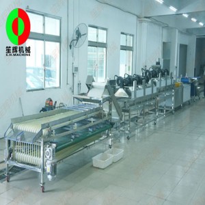 Sint-notenkraker Productielijn voor reinigen en drogen aan de lucht