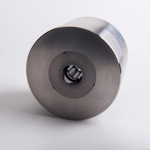 hoge precisie wolfraamcarbdie koudkopschroef hoofdvorm