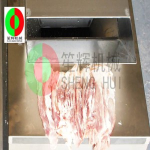 Grote vleessnijmachine / grote automatische vleessnijmachine / grote verticale vleessnijder QJ-1000