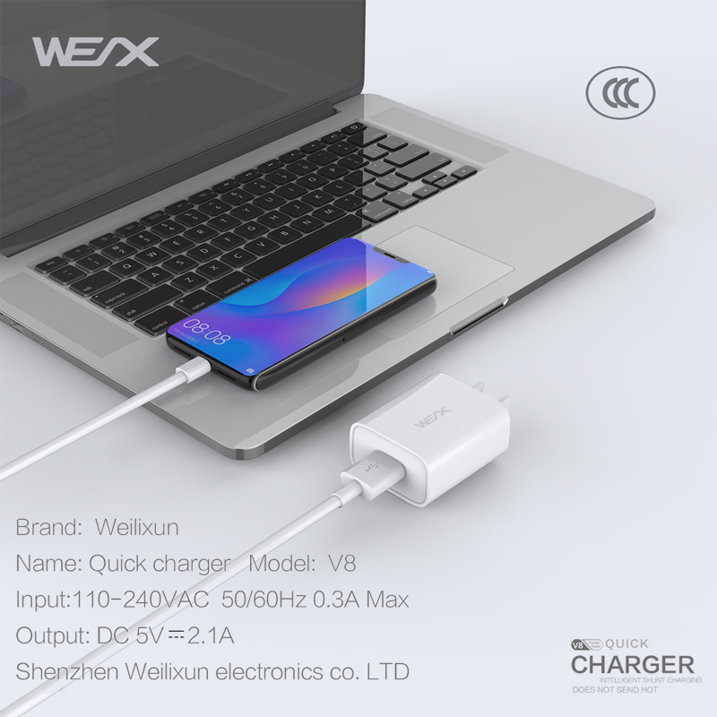 WEX - V8 reisoplader, lader voor in de muur, stroomadapter