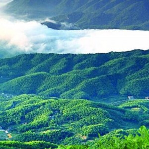 Tianjian zwarte theezakje hunan anhua zwarte thee gezondheidszorg thee