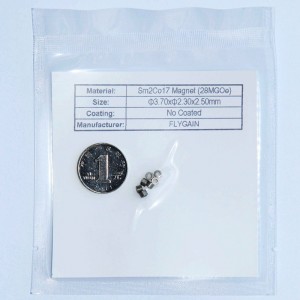 Micro-precisie smco kleine magneet