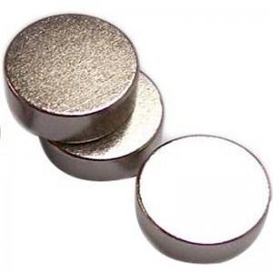 Shenzhen leverancier permanente Neodymium magneetring