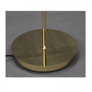 Staande lamp met metalen kap en verstelbare functie