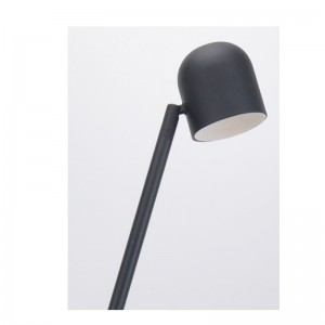 LED vloerlamp met metalen kap
