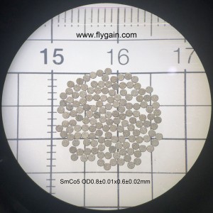 2019 China fabrikant Micro Precision Small SmCo-ringmagneet