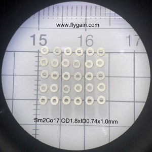 China fabrikant Micro Precision kleine magneet voor motor