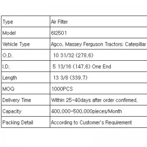 Luchtfilter (6I2501)