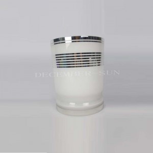 Elegant wit met zilveren lijn glazen badkamerset