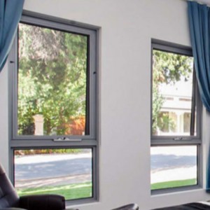 WT55 PRACHTIG VENSTER