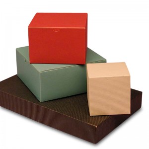 Gekleurde Alligator Tuck Top Box met reliëf