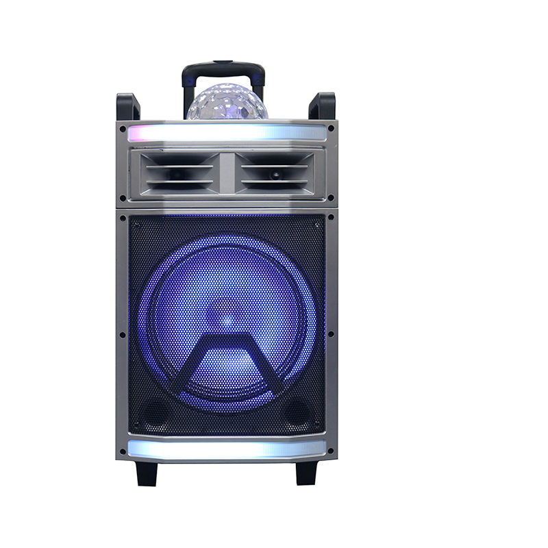 Trollry-luidspreker Y-B22-12H