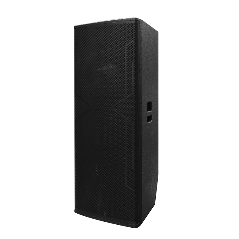 Grote DJ-luidspreker Y-450DH