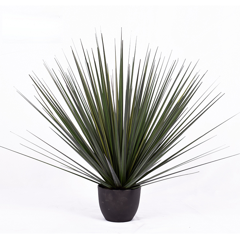 OH10920001/OH10920002/OH10920003