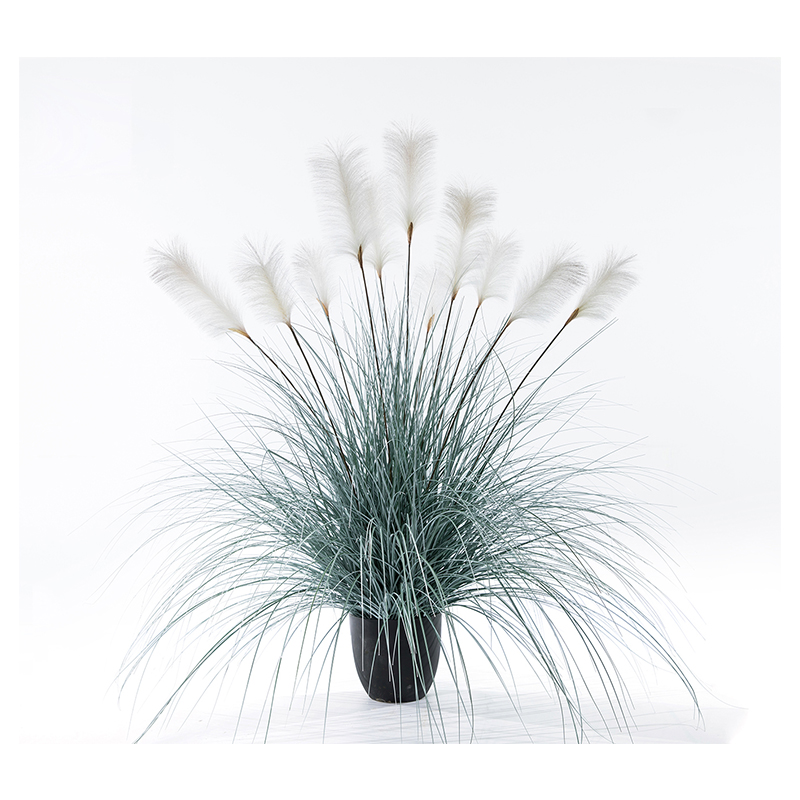 OH10920017/OH10920018