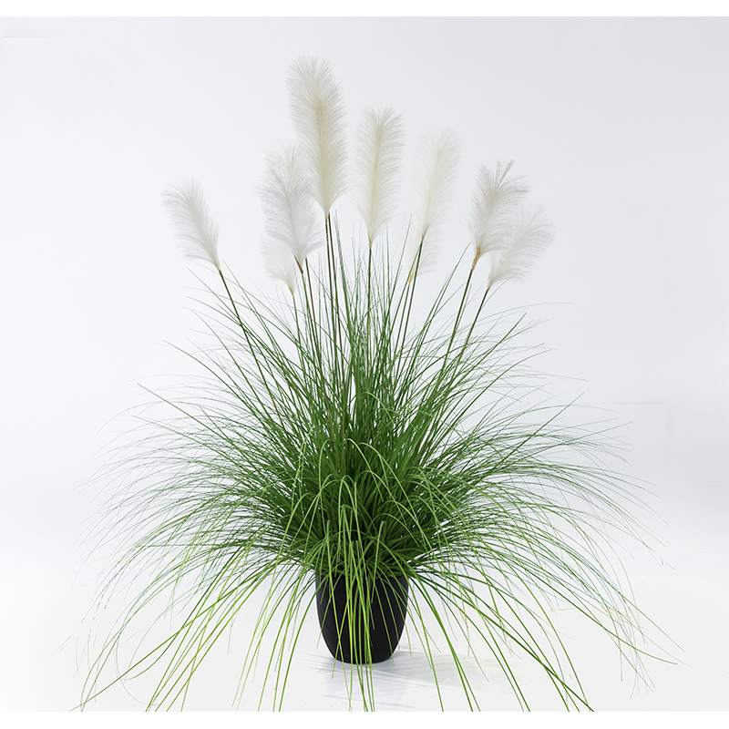 OH10920017/OH10920018