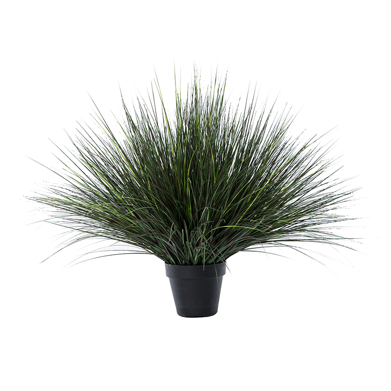 OH10920024/OH10920025/OH10920026