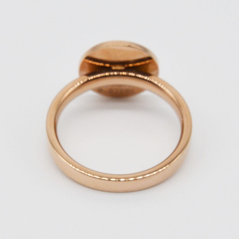 Rubber ring van roestvrij staal