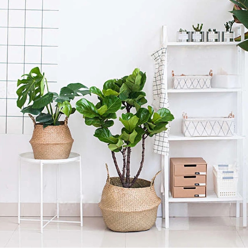 Woondecoratie bloempot standaard ovale hangende zeegras opbergmand