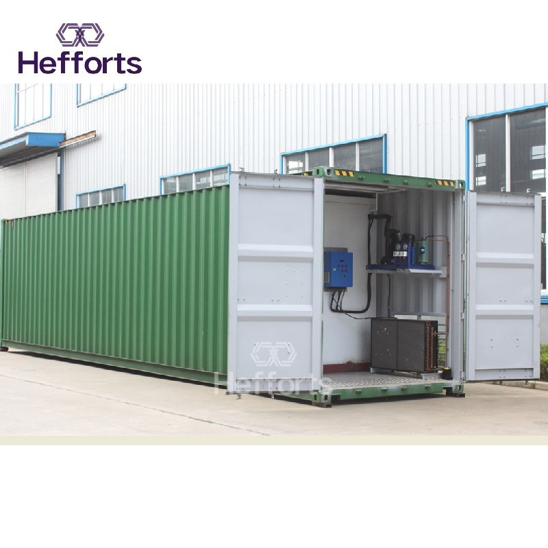 Europese standaard hoge reputatie one-stop service vlees koude vriezer 20foot container koude kamer