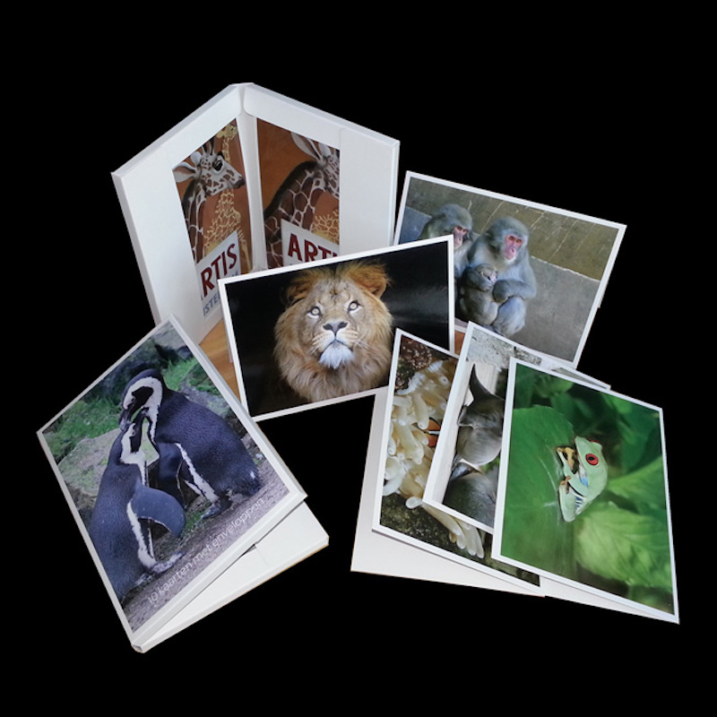 Een gulle kaart voor alle gelegenheden, papieren kaart, met enveloppen.Souvenirs voor reizigers