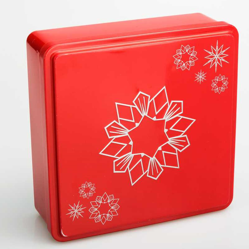Tin Box for Cookies DR0068A-01 190&-19350;170x45