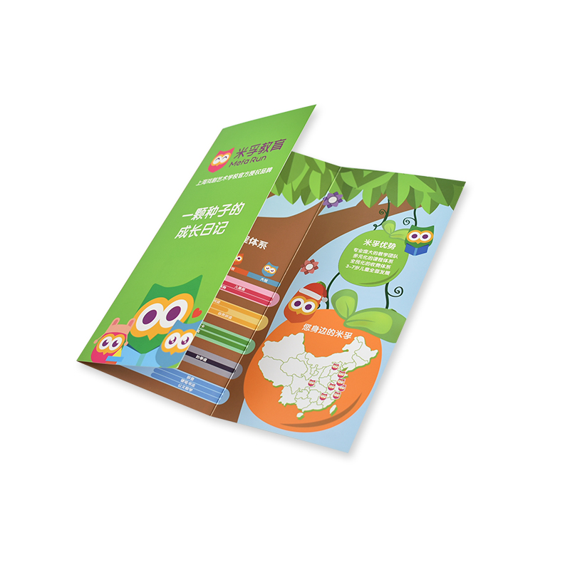 Tri-fold flyer (vooral)