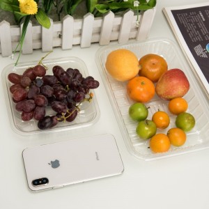 Hoge transparantie milieuvriendelijke wegwerp plastic fruit container