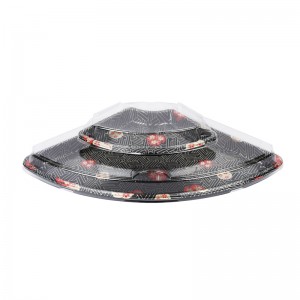 Sushi Tray X-13