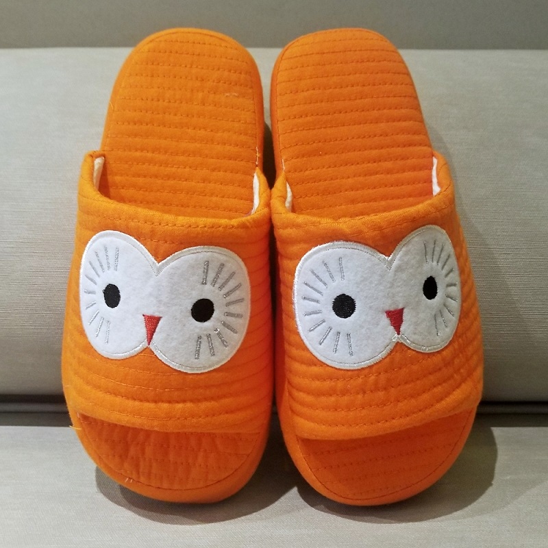 Ottomaanse Cute Owl Slides