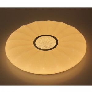 CX205 Plafondlamp