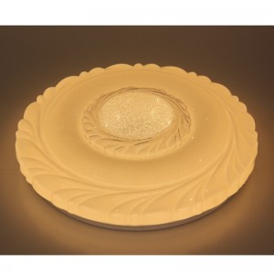 CX221 plafondlicht