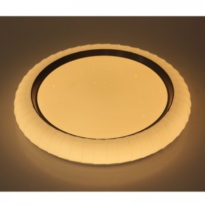 CX242 plafondlicht