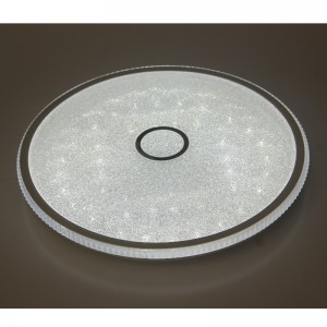 CX244 plafondlicht