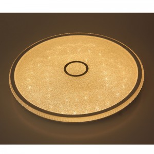 CX244 plafondlicht