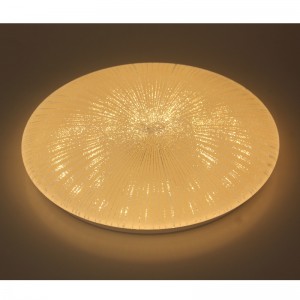 CX251 plafondlicht