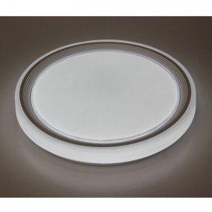 CX260 Plafond licht