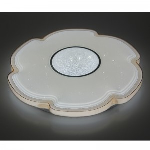CX311 plafondlicht