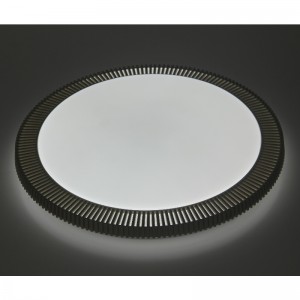 CX318 Plafondlamp