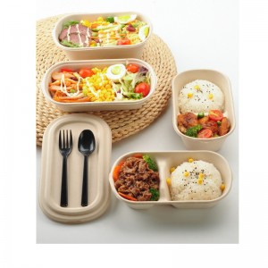 Ovale afhaalmaaltijden fastfooddozen biologisch afbreekbare bagasse voedselverpakkingen met doorzichtige deksel