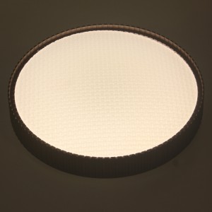 CX353 plafondlicht