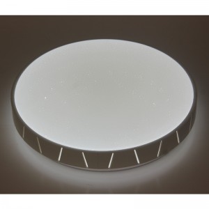 CX360 Plafond licht