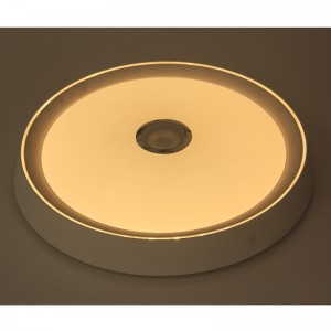 MU108 plafondlicht