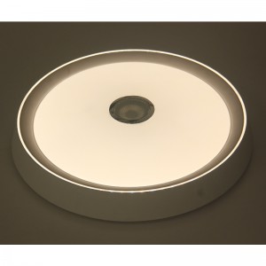 MU108 plafondlicht