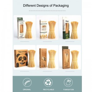 Draagbaar maïszetmeel-rietje biologisch afbreekbaar composteerbaar rietje