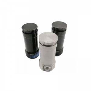 Hoge hardheid schroeven van de CNC, gebruikt in het bruggensysteem