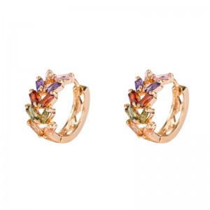 Europese en Amerikaanse mode persoonlijkheid blad messing micro-ingelegd zirkoon oorbellen vrouwelijke Koreaanse temperament oorbellen metalen koude wind oorbellen